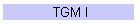 TGM I