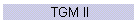 TGM II