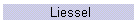 Liessel