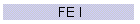FE I