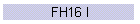 FH16 I