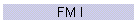 FM I