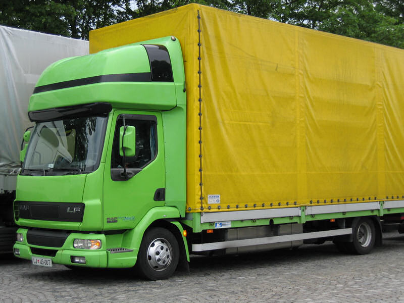 DAF-LF-45220-Goentgen-150607-01.jpg - DAF LF 45.220S. Göntgen