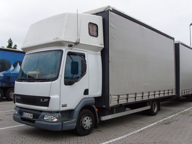 DAF-LF-45220-weiss-grau-Holz-110805-01.jpg - DAF LF 45.220Frank Holz