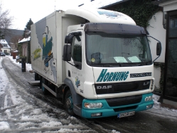 DAF-LF-45170-Hornung-Kleinrensing-310110-01