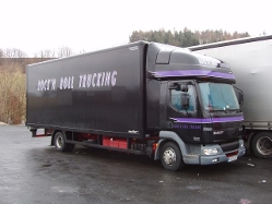 DAF-LF-45220-schwarz-Holz-100206-01