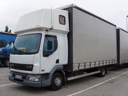 DAF-LF-45220-weiss-grau-Holz-110805-01