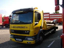DAF-LF-gelb-Weddy-131108-01