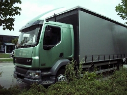 DAF-LF-gruen-grau-MProm-270204-1