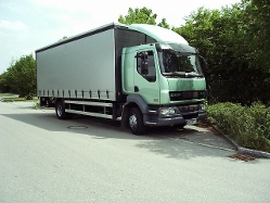 DAF-LF-gruen-grau-MProm-270204-3
