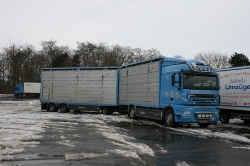 DAF-XF-105510-blau-Bornscheuer-140910-01