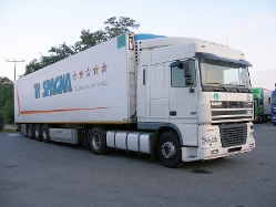 DAF-XF-95480-Vaessen-Holz-260808-01