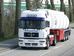 MAN-F2000-Schmalstieg-Willann-040504-1