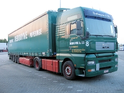 MAN-TG-460-A-XXL-Debruyne-Holz-040608-01