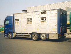 MB-Actros-3353-TTrans-blau-Holz-260304-1