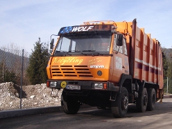 Steyr-25-S-31-Ruth-KDijkers-101208-01