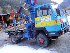 Steyr-91-Reinstadler-KDijkers-101208-01