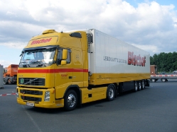 Volvo-FH-480-Bischof-Holz-250609-01