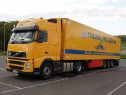 Volvo-FH12-460-Tsagas-Holz-170605-01