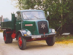 Henschel-HS-12-rot-gruen-Scholz