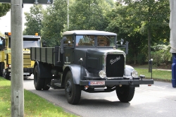 Henschel-grau-Bornscheuer-061010-03