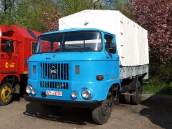 IFA-W50L-PrPl-blau-JThiele-030508