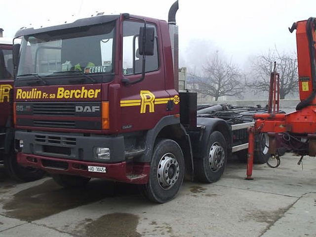DAF-85-Roulin-Junco-121205-04.jpg