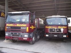 DAF-85-Roulin-Junco-121205-10