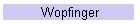 Wopfinger