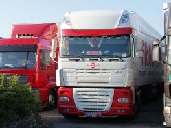 DAF-XF-105-weiss-Holz-080607-01-BE