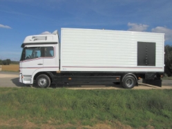 MB-Atego-823-Rischette-291005-01-LUX