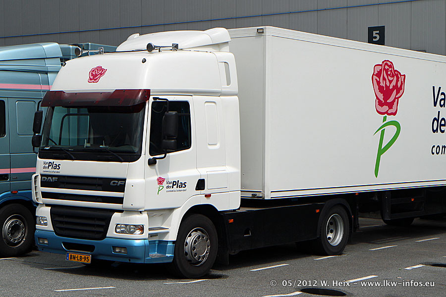 NL-Rijnsburg-Veiling-190512-379.jpg