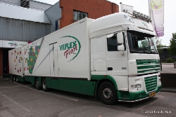 NL-DAF-XF-105460-Veflex-Holz-070711-02