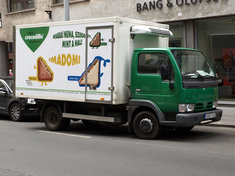 HUN-Nissan-gruen-Thiele-210808-01.jpg - Jörg Thiele