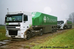 DAF-XF-Pfab-Borlik-021208-01
