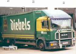 MAN-M2000-12264-Fiedler-Diebels-(Szy)