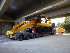 MAN-F2000-Evo-2746+Liebherr-954-2-(Liszweski)