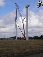 Terex-Demag-AC-500-2-Colonia-Schimanski-020208-02