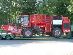 Scania-164-G-480-Hoevelmann-Schimana-220904-4