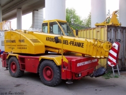Kran-Kronschnabel-Franke-1