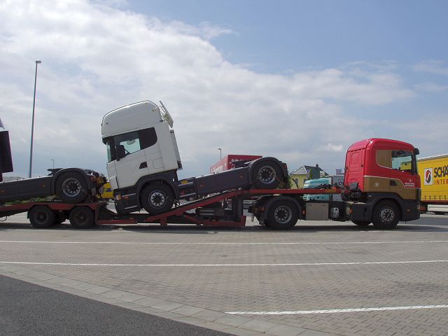 Scania-164-L-480-Arcese-Holz-240704-2-I.jpg - Frank Holz