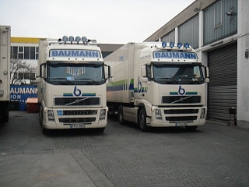 Volvo-FH12-Baumann-Strauch-110106-02