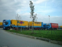 Iveco-Stralis-AS-Biehle-Schoener-310305-02