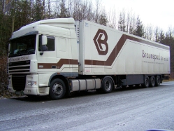 DAF-XF-Braun-Mizelli-280908-01