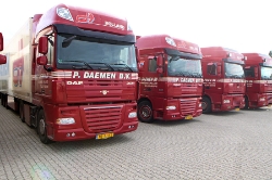 Daemen-Maasbree-241009-056