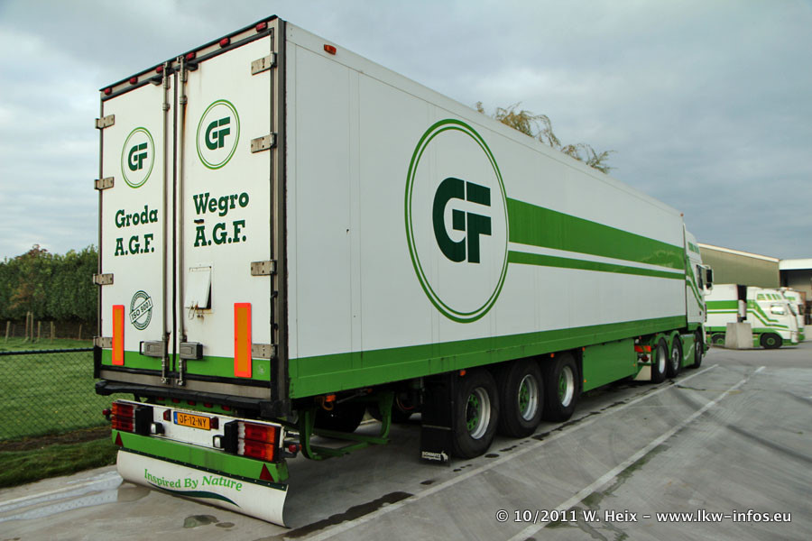 Groda-Est-291011-010.jpg
