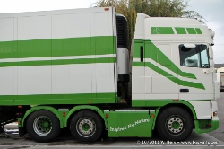 Groda-Est-291011-009