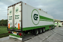 Groda-Est-291011-010