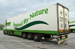 Groda-Est-291011-011