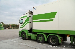 Groda-Est-291011-012